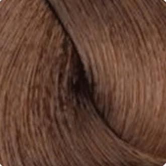 Стойкая профессиональная краска для волос - Goldwell Topchic Hair Color Coloration 7NBR